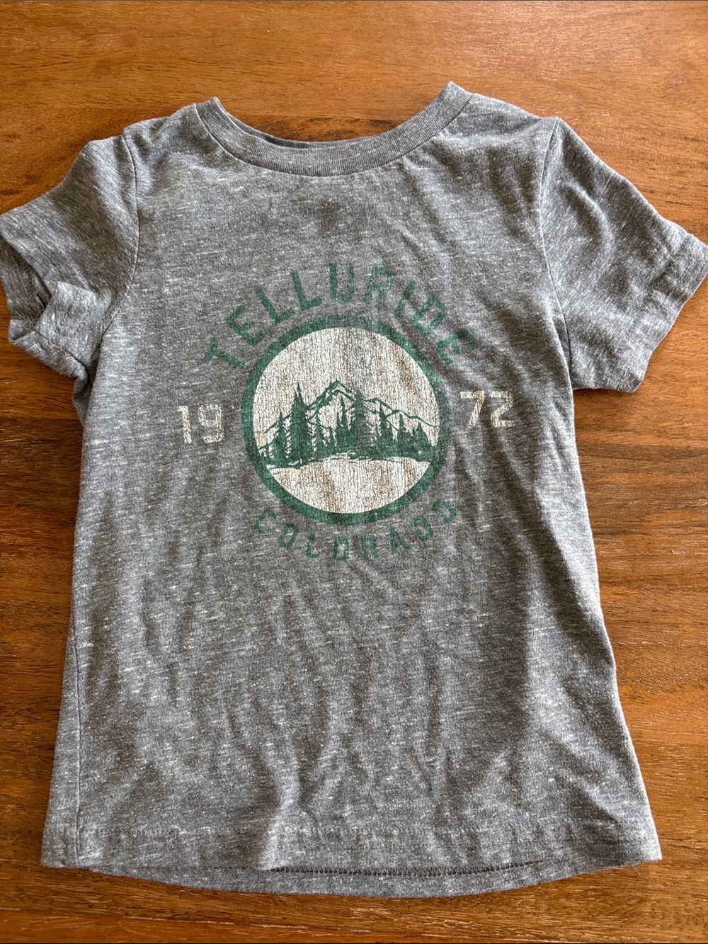 Retro Brand- Kids Grey Telluride Colorado Tee 3T